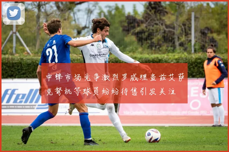 中锋市场竞争激烈罗威理查兹艾萨克弩机等球员纷纷待售引发关注
