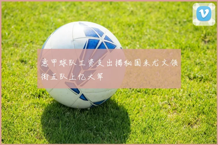 意甲球队工资支出揭秘国米尤文领衔五队上亿大军