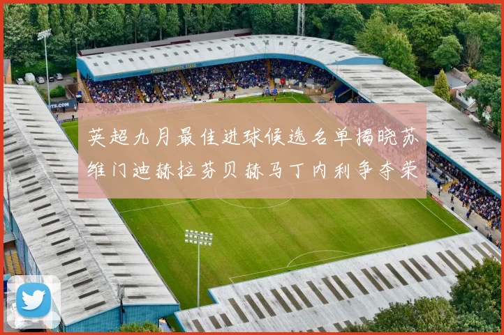 英超九月最佳进球候选名单揭晓苏维门迪赫拉芬贝赫马丁内利争夺荣誉