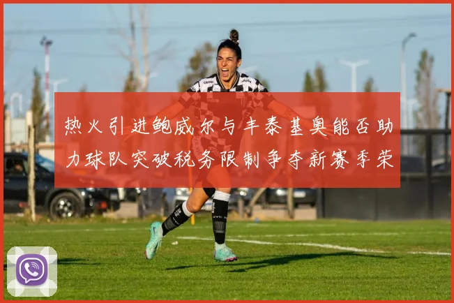 热火引进鲍威尔与丰泰基奥能否助力球队突破税务限制争夺新赛季荣誉