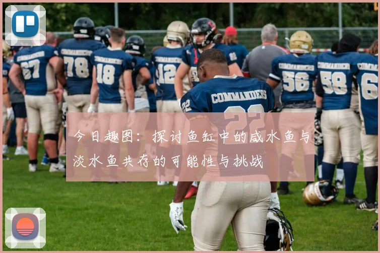 今日趣图：探讨鱼缸中的咸水鱼与淡水鱼共存的可能性与挑战