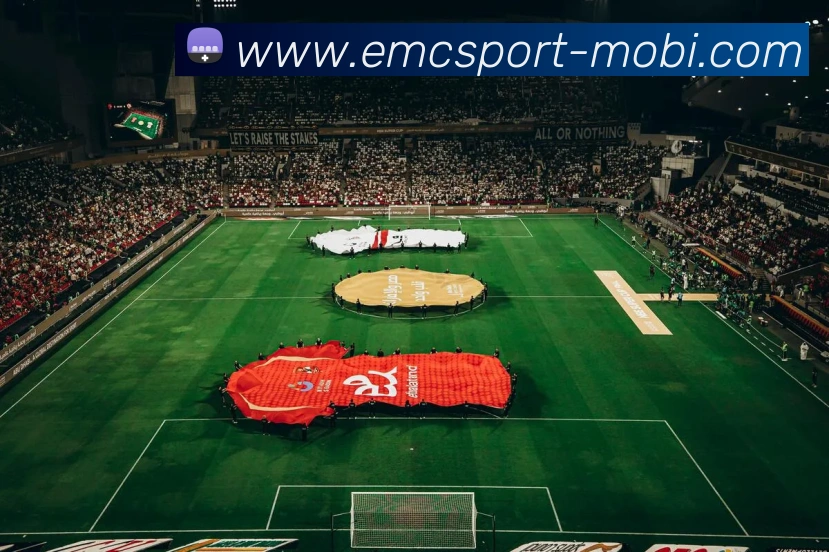 易倍体育APP 封面图